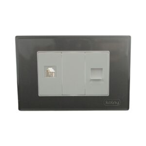 TOMA DE TELÉFONO + DATA